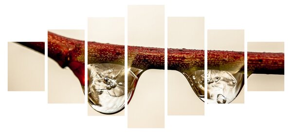 Obraz kapek na větvi (210x100 cm)