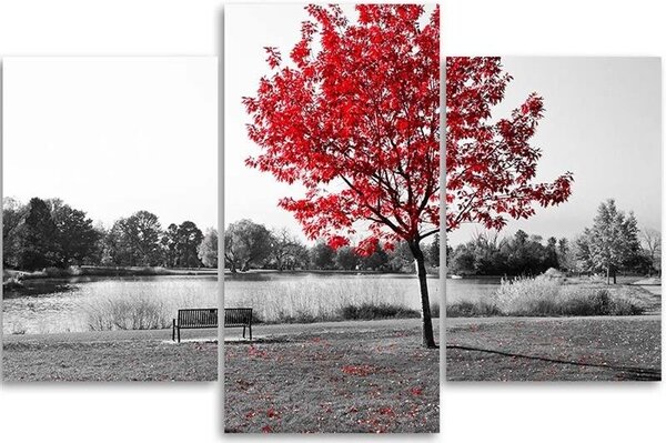 Obraz na plátně Strom s červenými listy - 3 dílný Rozměry: 60 x 40 cm