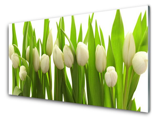Kuchyňský skleněný panel Tulipány Květiny Rostlina 100x50 cm