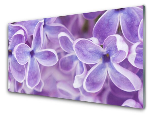 Kuchyňský skleněný panel Květiny Rostlina Příroda 140x70 cm
