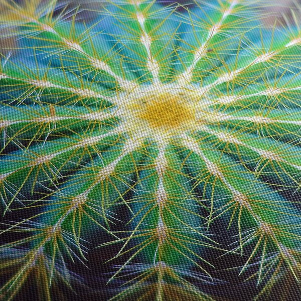 Obraz kaktusu (210x100 cm)
