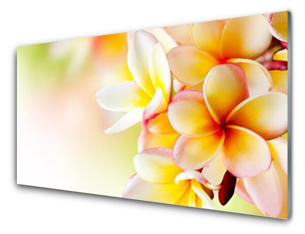 Kuchyňský skleněný panel Květiny Rostlina Příroda 120x60 cm
