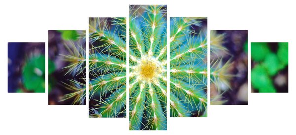 Obraz kaktusu (210x100 cm)