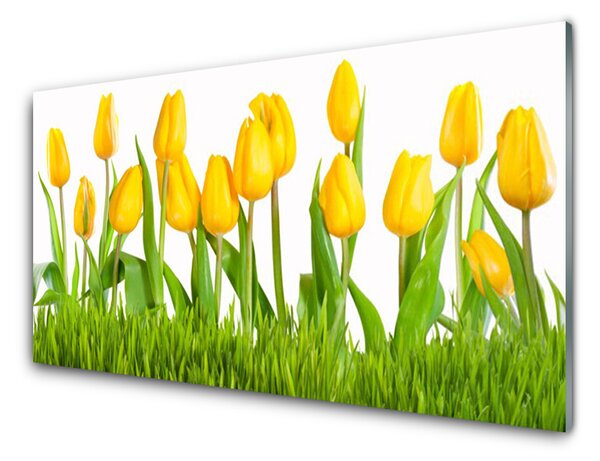 Kuchyňský skleněný panel Tulipány 140x70 cm