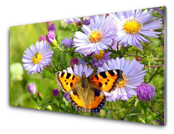 Obraz na skle Květiny Motýl Příroda 100x50 cm