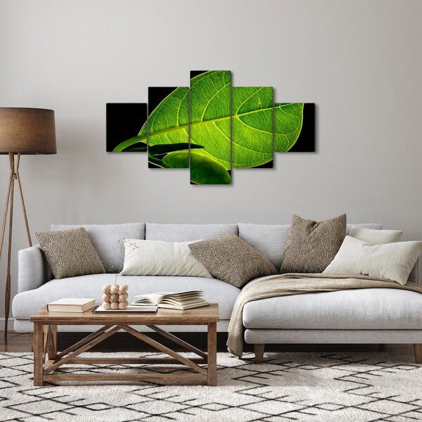 Obraz - zelený list (125x70 cm)