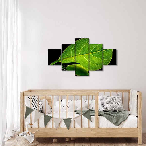 Obraz - zelený list (125x70 cm)