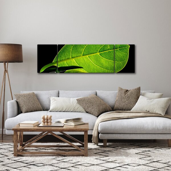 Obraz - zelený list (170x50 cm)