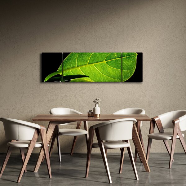 Obraz - zelený list (170x50 cm)
