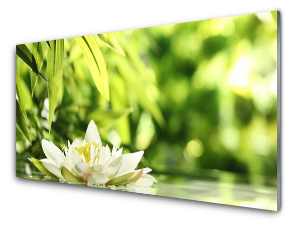 Kuchyňský skleněný panel Květ Listy 140x70 cm