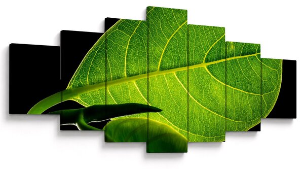 Obraz - zelený list (210x100 cm)