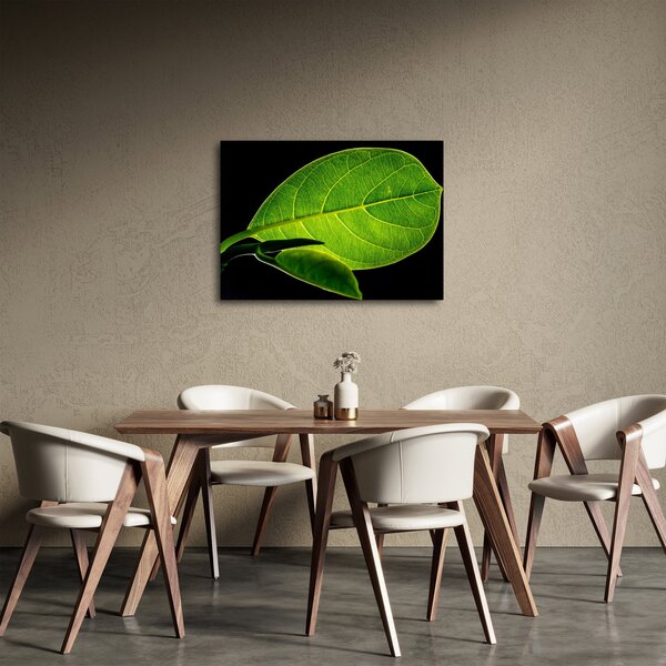 Obraz - zelený list (70x50 cm)