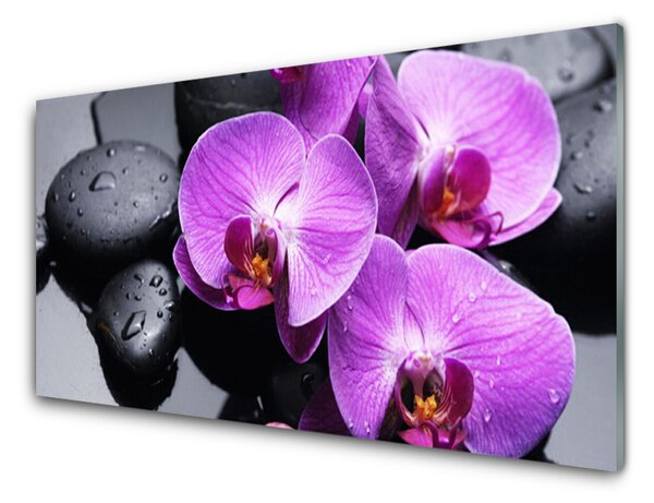 Kuchyňský skleněný panel Květ Kameny 125x50 cm