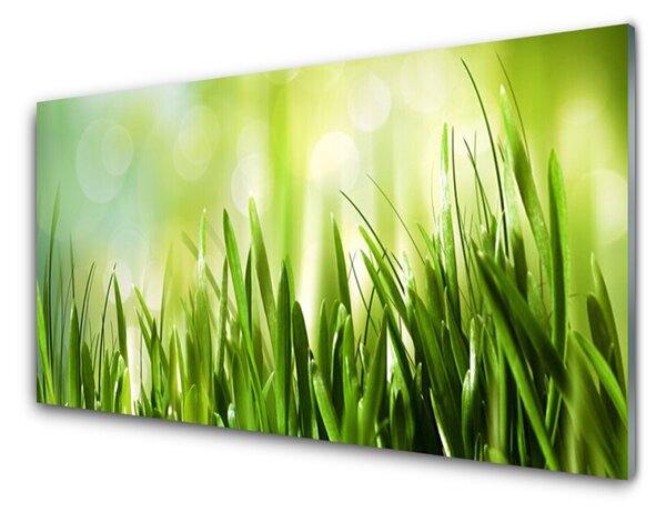 Kuchyňský skleněný panel Tráva Příroda 125x50 cm