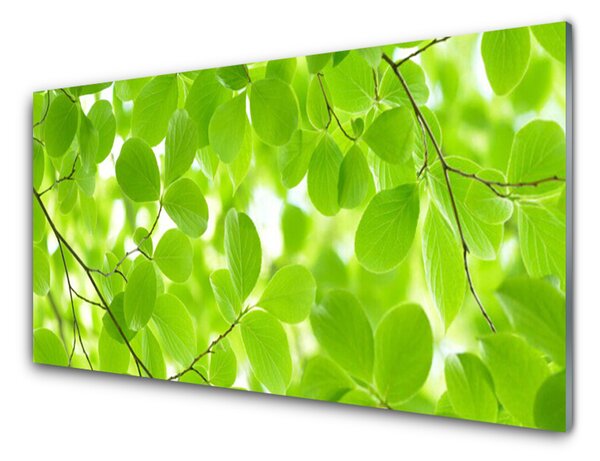 Kuchyňský skleněný panel Listy Příroda 140x70 cm