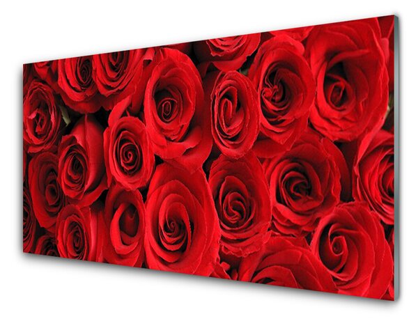 Kuchyňský skleněný panel Růže Květiny 120x60 cm