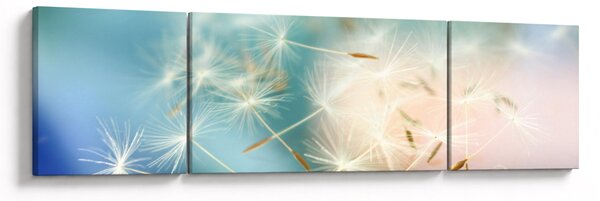 Obraz - štěstíčka (170x50 cm)