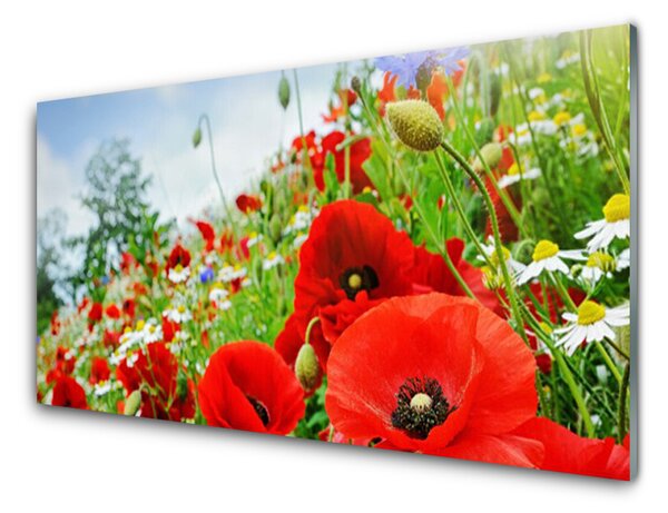 Kuchyňský skleněný panel Květiny Příroda 125x50 cm