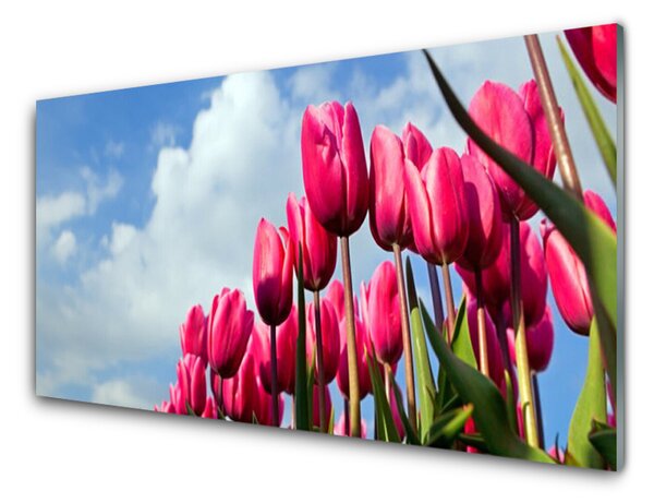 Kuchyňský skleněný panel Tulipán 100x50 cm