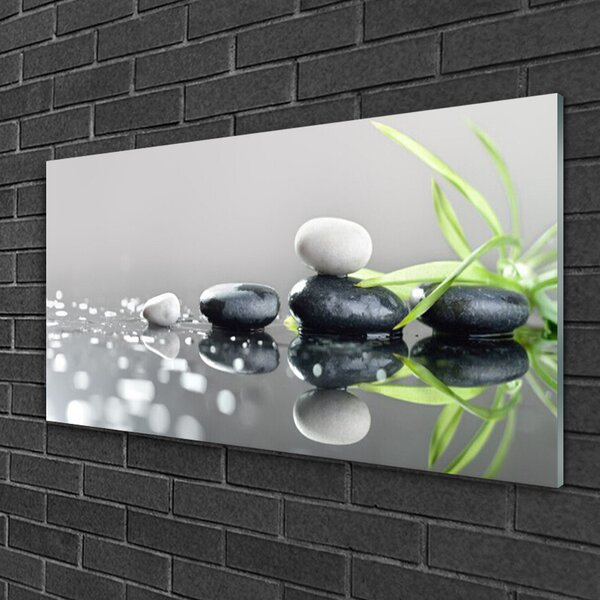Obraz na skle Kameny Tráva Umění 100x50 cm 2 Přívěsky