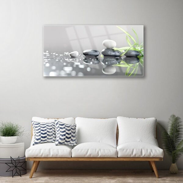 Obraz na skle Kameny Tráva Umění 100x50 cm 2 Přívěsky