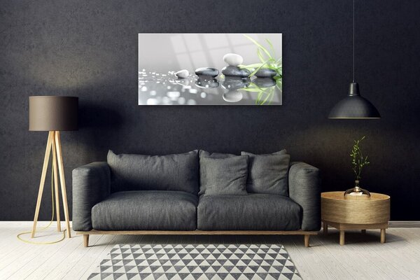 Obraz na skle Kameny Tráva Umění 100x50 cm 2 Přívěsky