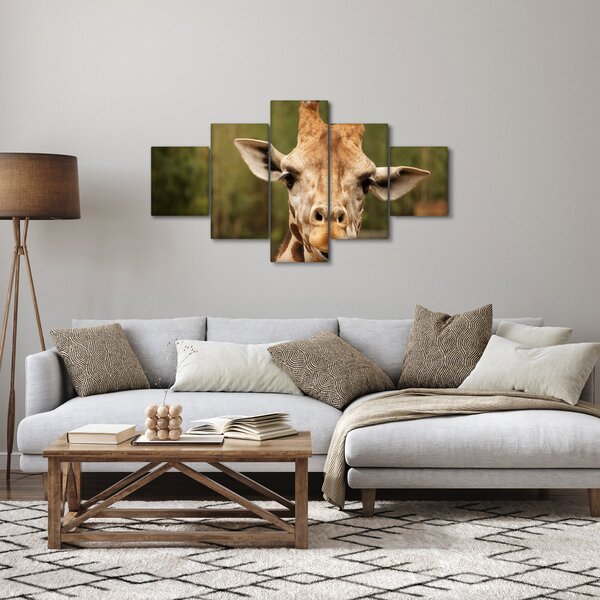 Obraz žirafy (125x70 cm)