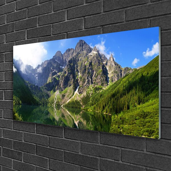 Obraz na skle Tatry Hory Mořské Oko Les 100x50 cm 2 Přívěsky