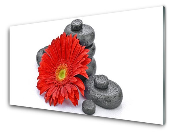 Skleněné obklady do kuchyně Květiny Gerbery Kameny Zen 140x70 cm