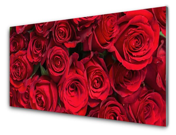 Skleněné obklady do kuchyně Červené Růže Květiny Příroda 140x70 cm