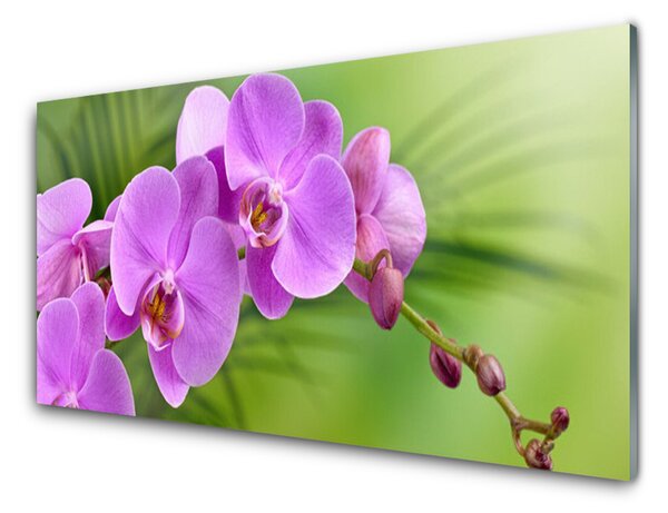 Skleněné obklady do kuchyně Vstavač Orchidej Květiny 125x50 cm