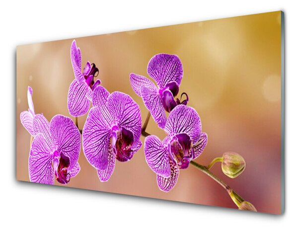 Obraz na skle Orchidej Výhonky Květiny Příroda 140x70 cm