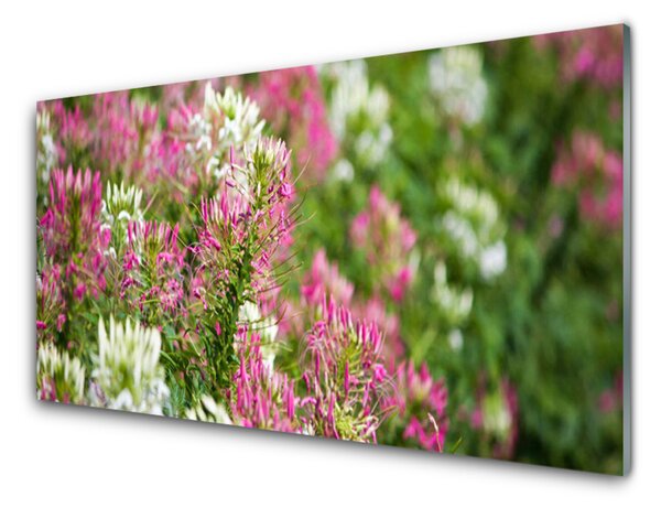 Skleněné obklady do kuchyně Polní Květiny Louka Příroda 120x60 cm