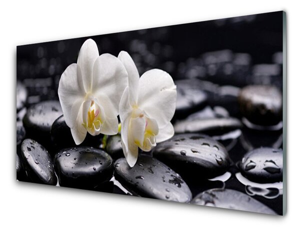 Skleněné obklady do kuchyně Kameny Zen Bílá Orchidej 140x70 cm