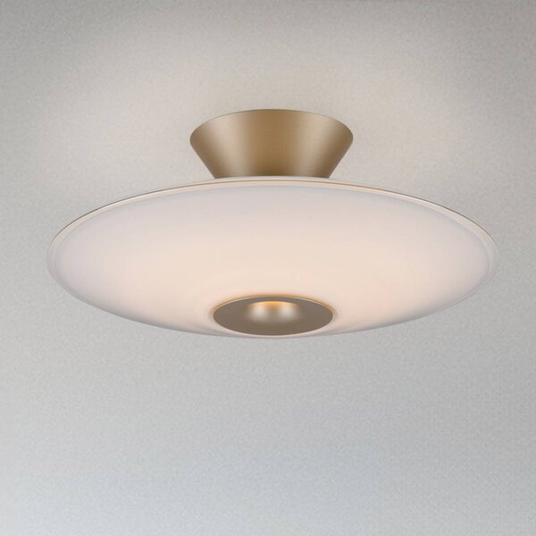 Paul Neuhaus LED stropní svítidlo Elipsa, bílá/bronzová, Ø 35 cm, stmívatelný, Bílá / opál, Obývací pokoj / jídelna, Sklo