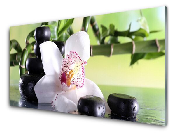 Skleněné obklady do kuchyně Orchidej Kameny Bambus 125x50 cm