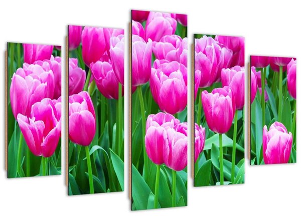 Obraz Růžové tulipány - 5 dílný Velikost: 100 x 70 cm, Provedení: Panelový obraz