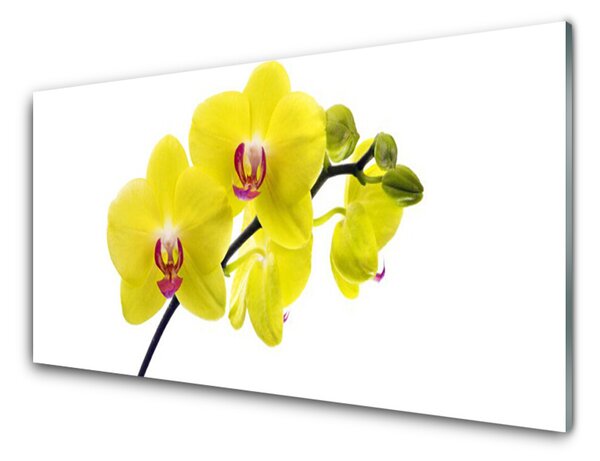 Akrylový obraz Květiny Rostlina Příroda 140x70 cm