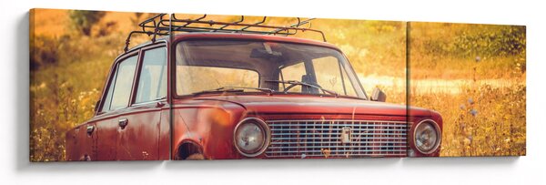 Obraz auta v poli (170x50 cm)