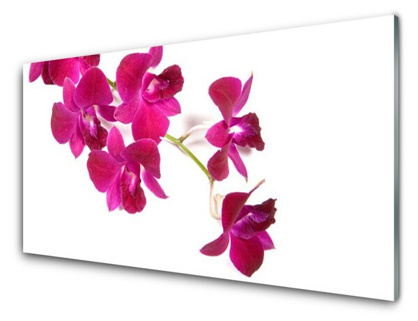 Akrylový obraz Květiny Rostlina Příroda 140x70 cm