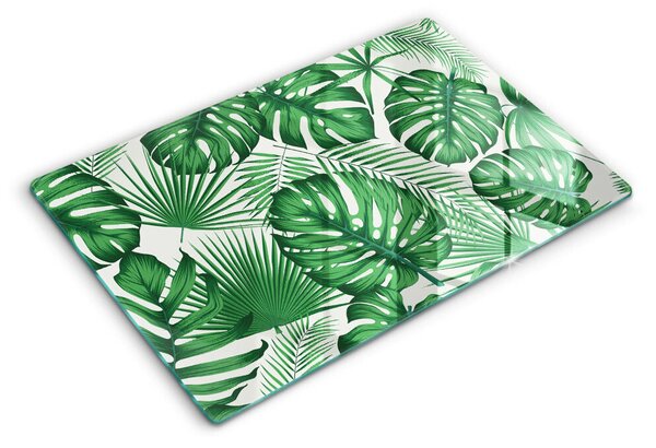 Skleněná deska za sporák Monstera odchází