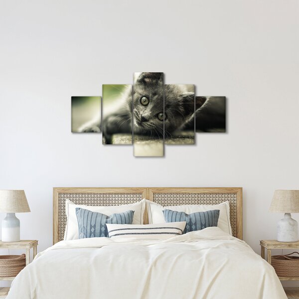 Obraz kotěte (125x70 cm)