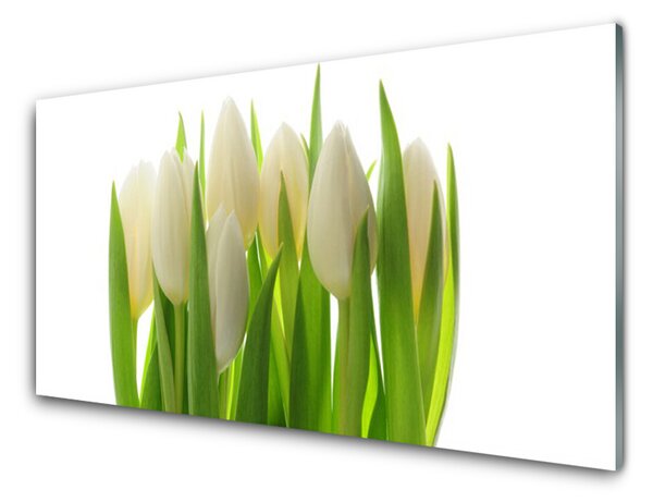 Kuchyňský skleněný panel Tulipány Rostlina Příroda 125x50 cm