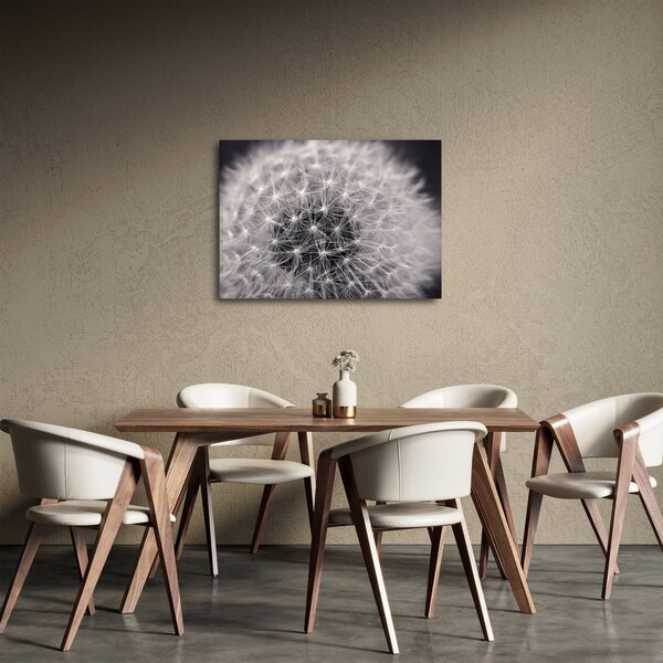 Obraz pampelišky (70x50 cm)