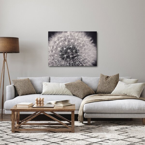 Obraz pampelišky (70x50 cm)