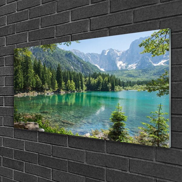 Obraz na skle Hory Jezero Les Příroda 100x50 cm 2 Přívěsky