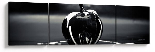Obraz černého jablka (170x50 cm)