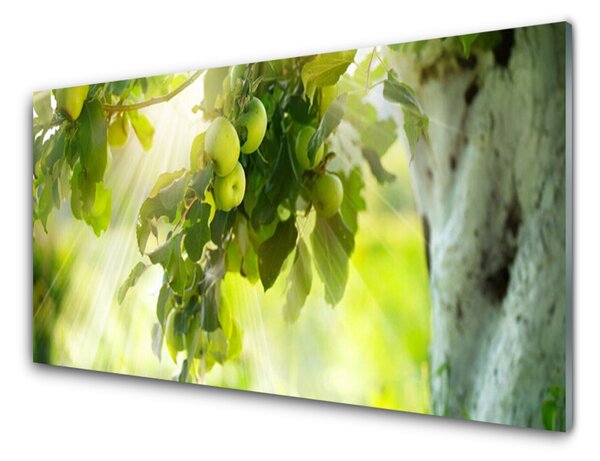Skleněné obklady do kuchyně Jablka Větev Strom Příroda 125x50 cm