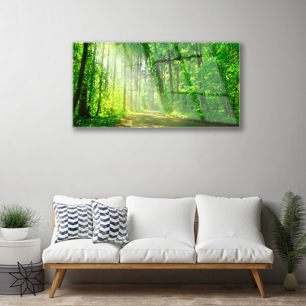Obraz na skle Les Cestička Stromy Příroda 100x50 cm 2 Přívěsky