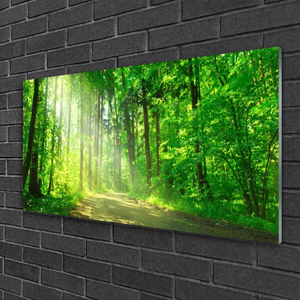 Obraz na skle Les Cestička Stromy Příroda 100x50 cm 2 Přívěsky